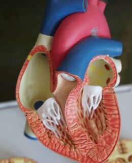 ЕГЭ Биология